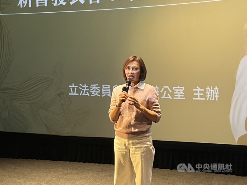 民進黨立委邱議瑩。(中央社檔案照片)