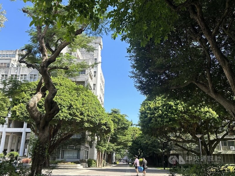 逢甲大學校內綠樹成蔭,校方暑期展開校園樹木健康檢查,建立「強化喬木健康管理與風險防範計畫」,同步強化風險管理與通報機制。中央社記者趙麗妍攝 114年9月5日
