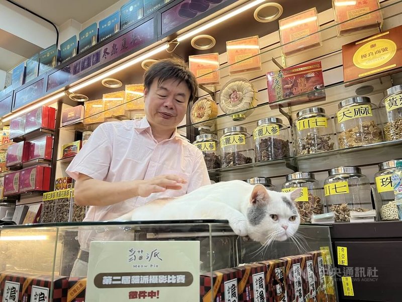 台北大稻埕迪化街的合信蔘藥行有兩位貓店長,老闆蕭錫座輕拍其中一位貓店長Money的背,表示自己視雙貓如「兒子」。圖攝於114年8月27日。中央社記者黎桑尼攝 114年9月6日