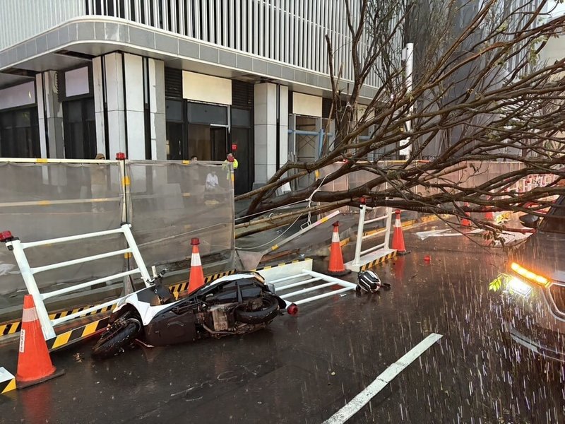 台中市7日傍晚下起強降雨,各地傳出零星災情,其中西屯區有路樹疑因雨勢過大倒塌,造成1部自小客車被壓、1名機車騎士自摔受傷。(民眾提供)中央社記者趙麗妍傳真 114年9月7日