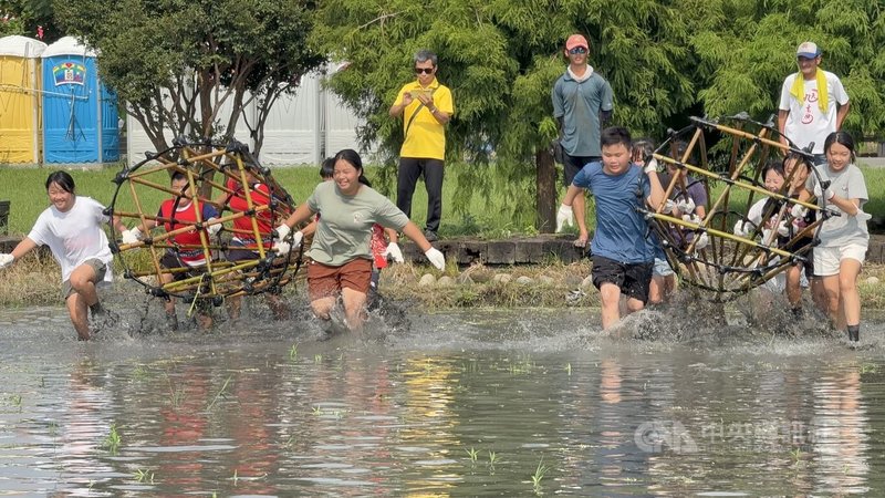 農業部農村發展及水土保持署南投分署與雲林縣「林內教芋部」合作舉辦2025林內搶水節，搶水競賽共16組隊伍參與，國小組賽事12日登場，學生們扛著「籠仔笱」在泥田裡賣力奔跑。中央社記者姜宜菁攝  114年9月12日