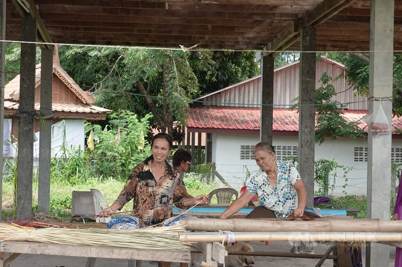 泰國黎逸府(Roi Et)色拉蓬縣(Selaphum)的那桑區(Na Saeng)的「一鎮一特產」商品為蘆葦墊,當地居民就在街邊操作編織機,其他居民也在自家撥蘆葦皮、鋪曬,彼此分工。中央社記者楊堯茹攝 114年9月14日
