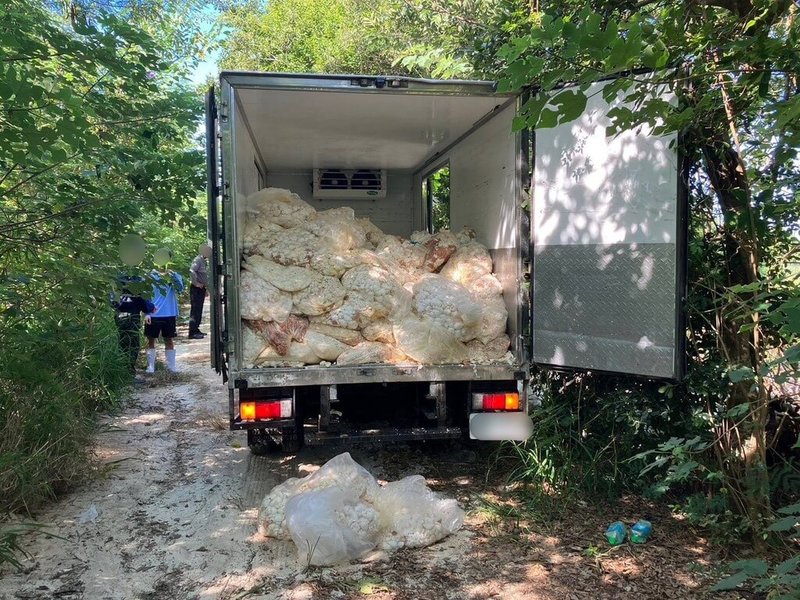 苗栗縣警方日前獲報,指通霄鎮內湖里地區有亂倒廢棄物情事,前往稽查發現一輛滿載蛋殼的冷凍貨車已將部分傾倒於空地,涉案3人遭依違反廢棄物清理法送辦。(警方提供)中央社記者管瑞平傳真 114年9月15日