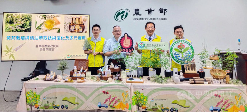 農業部台東區農業改良場協助原鄉部落農產優化，研發出提升黃荊精油萃取術，已公告技術授權，台東農改場17日在農業部舉行記者會，介紹傳統原鄉作物黃荊的新價值。中央社記者汪淑芬攝　114年9月17日