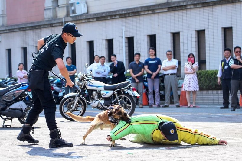 台中市政府警犬隊因應2018台中世界花卉博覽會成軍,希望精進拚治安的各種作為,成立後在當時發揮安全維護及行銷花博活動的功效。(台中市政府提供)中央社記者趙麗妍傳真 114年9月18日
