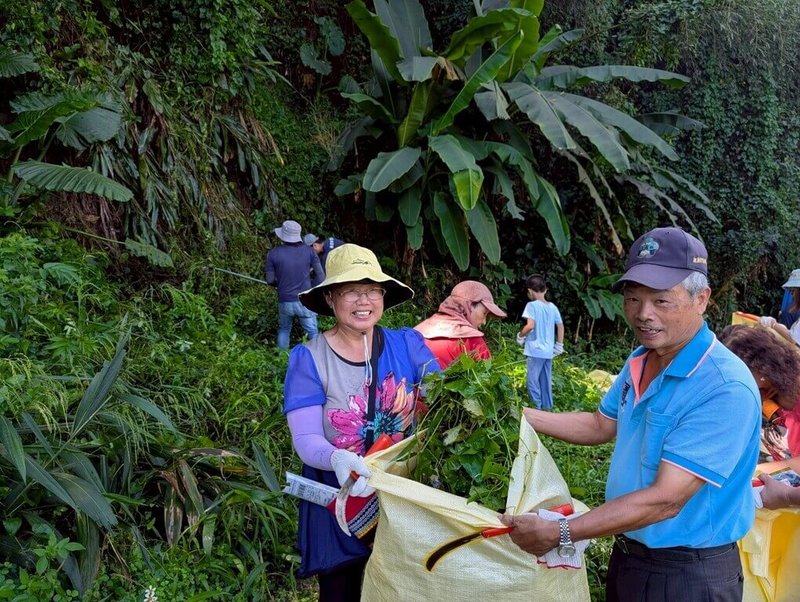 鯉魚潭水庫後池堰兼具灌溉調節與生態價值，林業及自然保育署新竹分署大湖工作站20日攜手民眾，共同清除386公斤小花蔓澤蘭，守護濕地生態。（林業及自然保育署新竹分署提供）中央社記者管瑞平傳真  114年9月20日