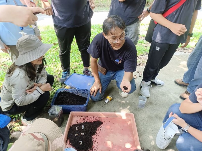 台中市觀旅局在大坑生態園區推動友善生物多樣性計畫，進行紫斑蝶標放與獨角仙復育，假日有免費的志工導覽服務，由專業的生態老師帶領，了解大坑豐富生態並體驗不同的登山樂趣。（中市府提供）中央社記者趙麗妍傳真 114年9月20日