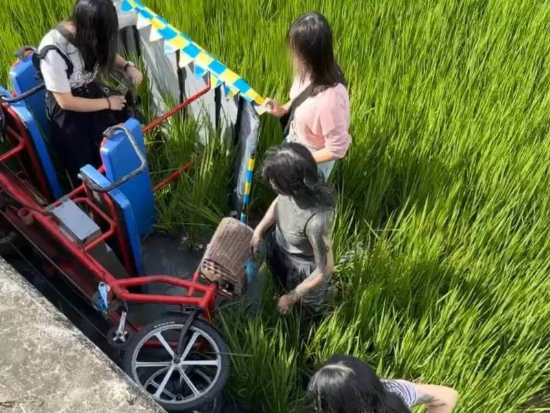 台東景點池上伯朗大道一輛電輔車21日下午疑因強風被吹翻,車上4名遊客摔落田中,所幸其中3人僅手腳擦挫傷,經救護人員現場擦藥包紮後離去,並未送醫。(民眾提供)中央社記者李先鳳傳真 114年9月21日