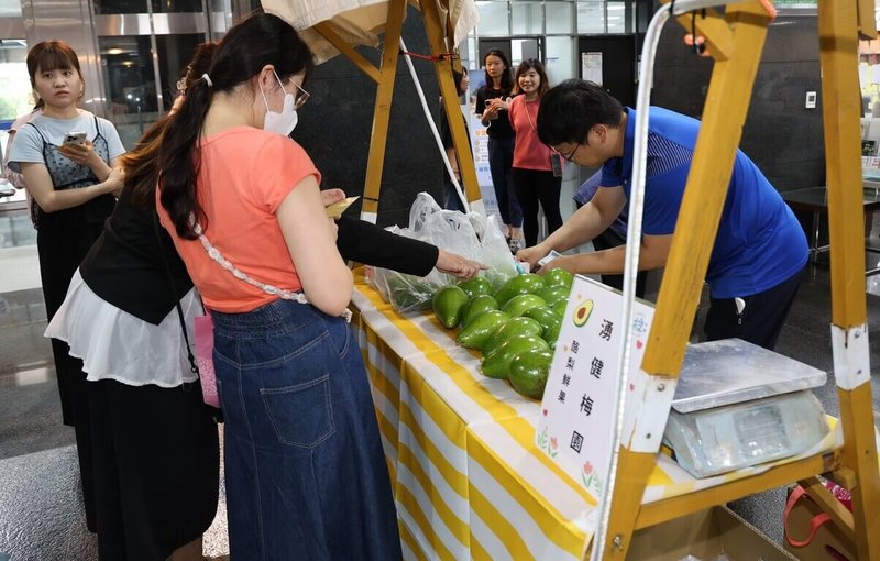 南投縣青年農民聯誼會10月、11月將辦理多場「南投青農市集」，24日在縣府宣傳，展售點包含國道服務區、台中第六市場、台北內湖花市等。（南投縣政府提供）中央社記者蕭博陽南投縣傳真　114年9月24日