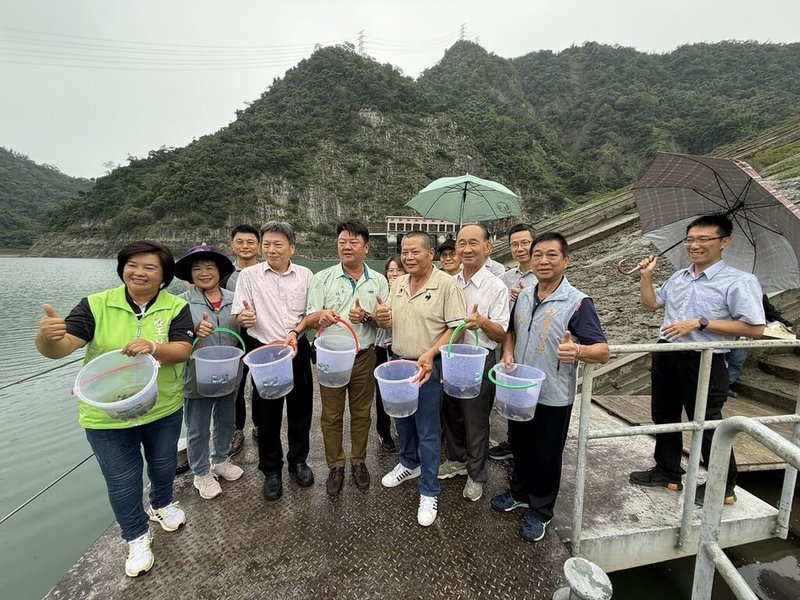 台電公司明潭發電廠以日月潭水源作為抽蓄式水力發電，為減少水庫螺貝類生長影響發電，26日在明潭水庫放流烏鰡及草魚苗。（明潭發電廠提供）中央社記者蕭博陽南投縣傳真  114年9月26日
