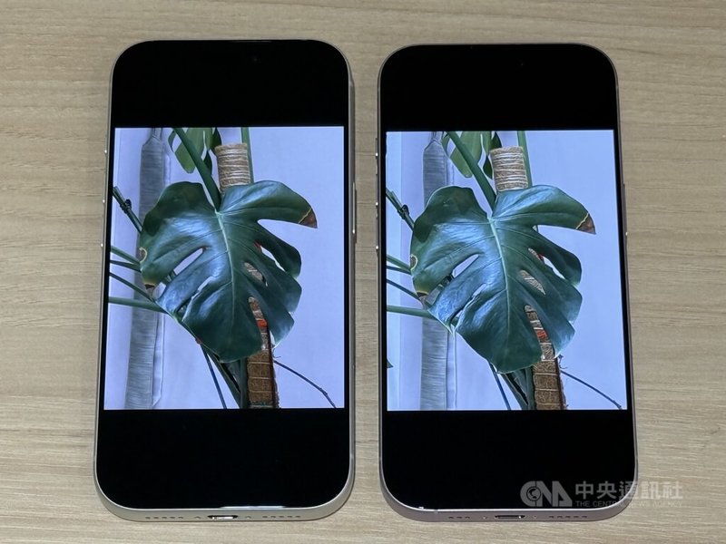 蘋果iPhone新機開賣後供不應求,旗艦機型iPhone 17 Pro(左)拍攝的龜背芋葉片細節更清晰。中央社記者吳家豪攝 114年9月26日