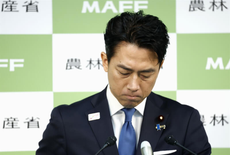參選日本自民黨總裁的農林水產大臣小泉進次郎，26日針對他的陣營進行秘密行銷致歉。（共同社）