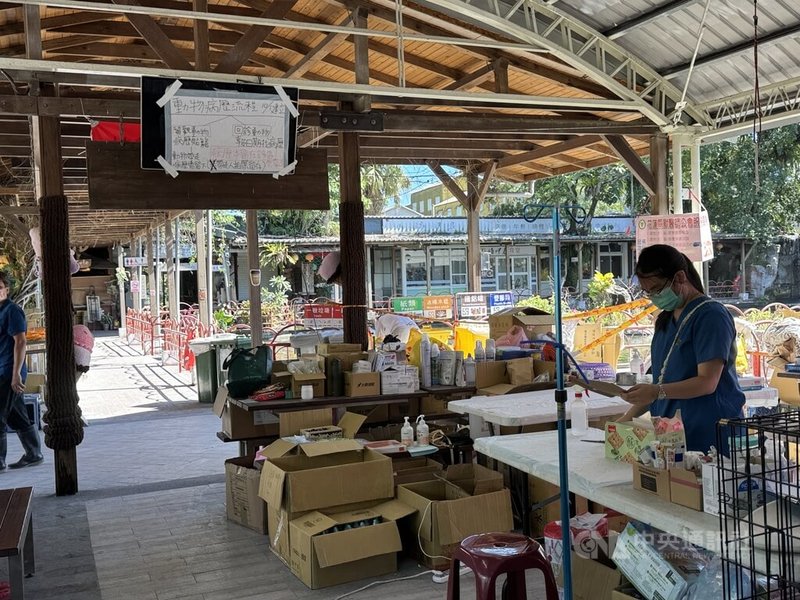 花蓮光復鄉堰塞湖溢流釀嚴重災情,許多寵物也成受災戶。花蓮動物醫療站救援超過120隻犬、貓、鴨子及烏龜等寵物,還有行動急診室由獸醫、獸醫助理到災民家中緊急醫療處置,動物醫療站預計駐點至7日。中央社記者張祈攝 114年10月2日