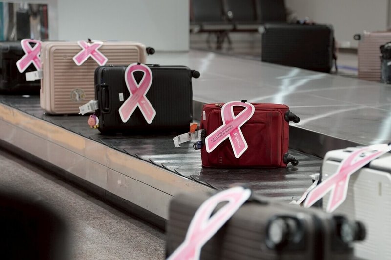 星宇航空股份有限公司攜手雅詩蘭黛集團推廣粉紅絲帶乳癌防治活動，桃園國際機場股份有限公司今年響應加入宣導，2日為抵台旅客行李繫上巨大紙製粉紅絲帶，凝聚守護健康正能量。（星宇航空提供）中央社記者余曉涵傳真　114年10月2日