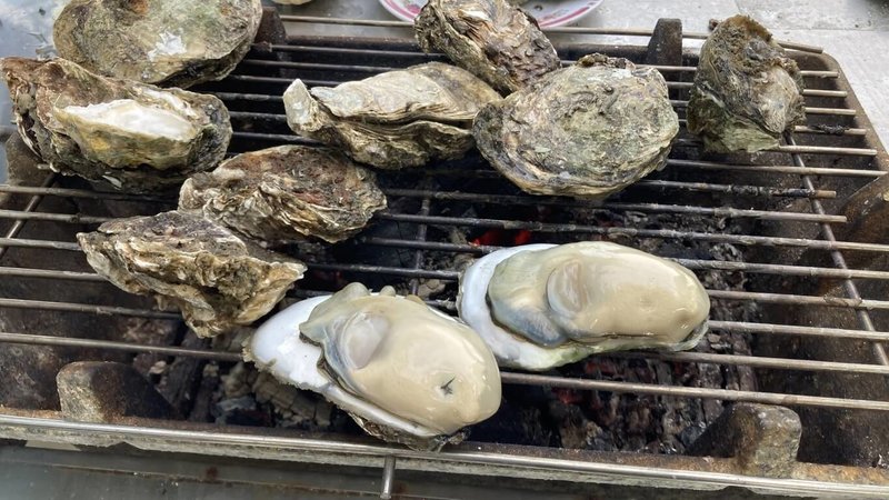 蚵仔是大眾秋節烤肉喜愛食材之一，嘉義縣政府推「溯源東石蚵美食地圖」踩點送好禮活動，歡迎民眾品嚐肥美東石蚵。（嘉義縣政府提供）中央社記者蔡智明傳真　114年10月2日