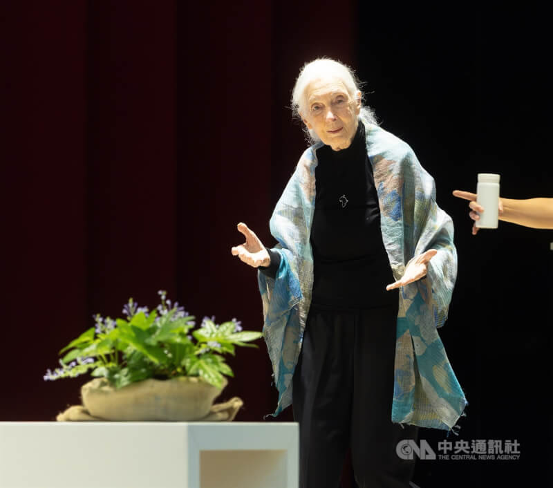 今年6月珍古德再次造訪台灣,也成為她最後一次來台。圖為她應邀至台北科技大學演講,她認為,保育不只是為了動物,而是為了整體環境。(中央社檔案照片)