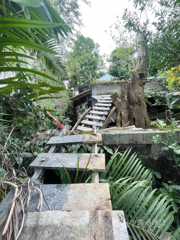 花蓮馬太鞍溪堰塞湖溢流釀洪災沖進光復市區,有民眾逃難不及緊抓樹木,屋頂上方的年輕人用木棧板充當木梯,連結成逃命通道,救了王姓婦人等4人。中央社記者張祈攝 114年10月2日