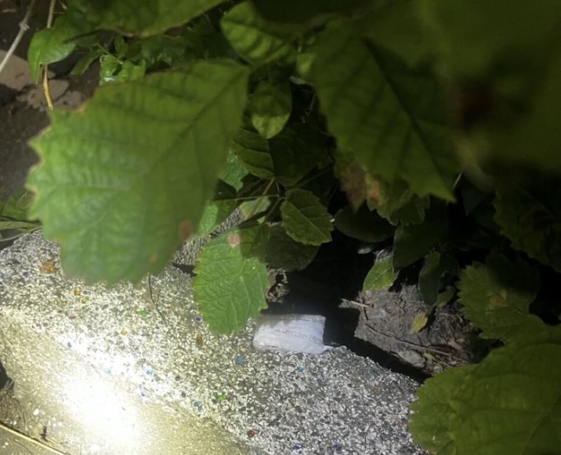 台南市黃姓男子2日凌晨騎車途經北區遇警巡邏立刻迴轉，逃逸時還丟棄海洛因毒品，警員追上攔查，依毒品罪嫌送辦。（台南市警局提供）中央社記者張榮祥台南傳真　114年10月2日