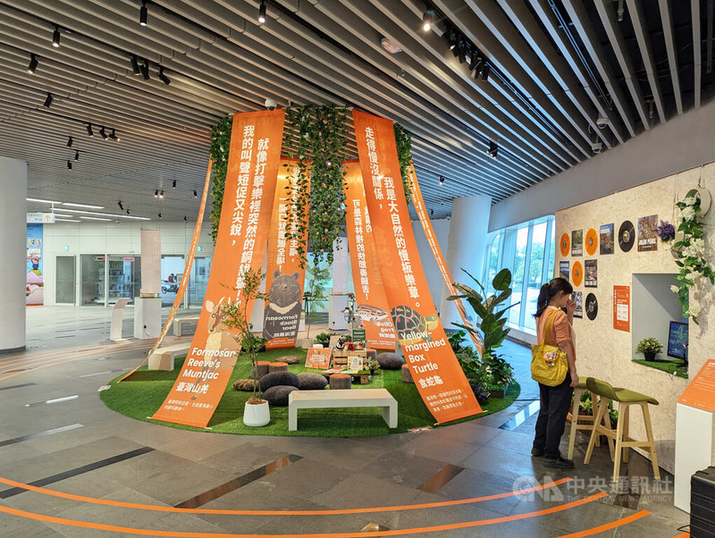 農業部林業及自然保育署南投分署3日在國立公共資訊圖書館推出「再響．森之樂」沉浸式聲景展，並設置閱讀區和親子互動區，搭配趣味挑戰等學習方式，延伸介紹林區物種的生態習性與保育故事。中央社記者蘇木春攝　114年10月3日
