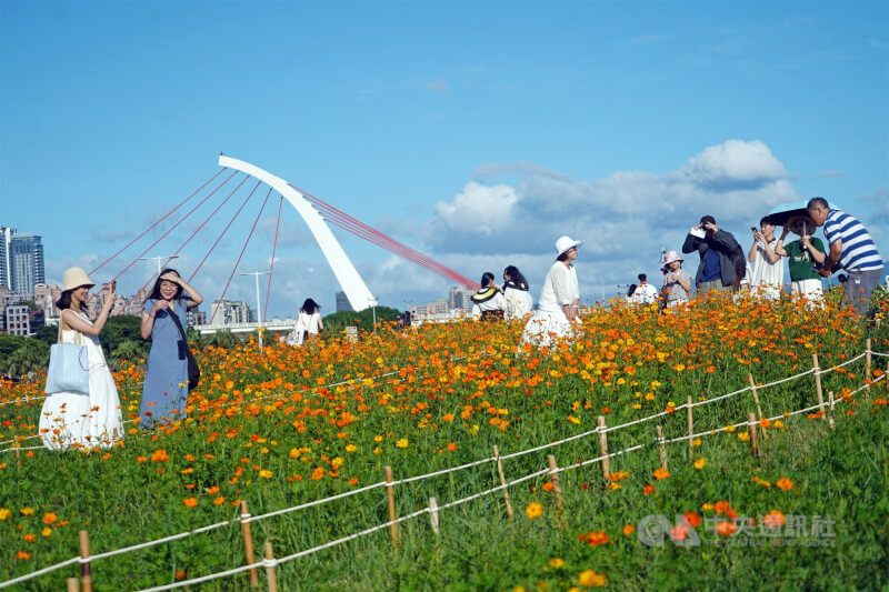 台北大佳河濱公園正值花海盛開，不少民眾把握好天氣出門賞花。（中央社檔案照片）