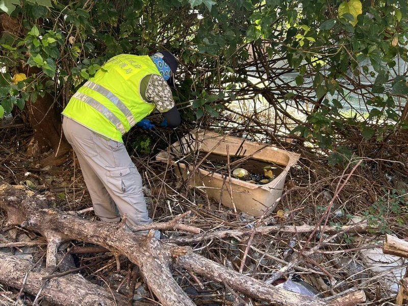 台中市大肚區出現登革熱境外移入確診個案，市府獲報通知相關單位，5日並加強個案住家環境周邊清理消毒工作。（台中市政府提供）中央社記者趙麗妍傳真　114年10月5日