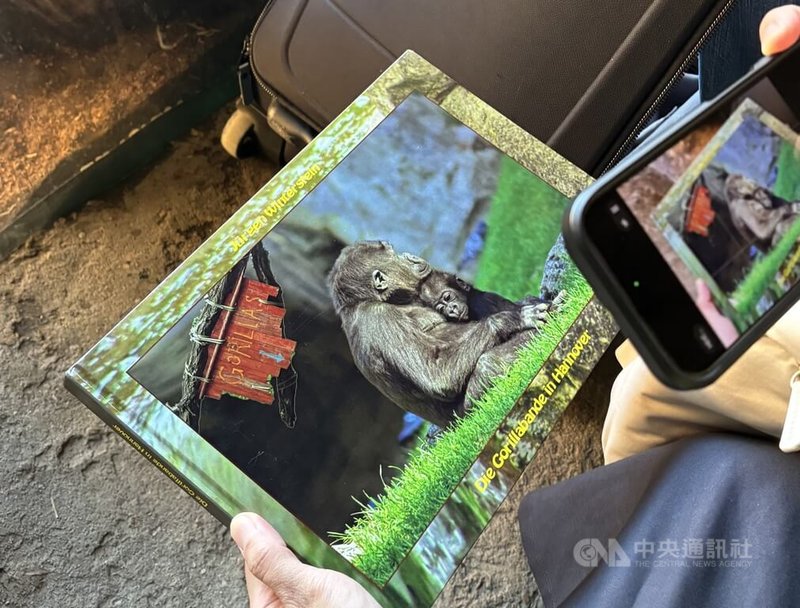溫特斯坦紀錄漢諾威動物園大猩猩超過30年,並將圖片配合紀錄猩猩成長的文字集結成冊,已累積7本。圖為大猩猩寶寶Melima與她的媽媽Sonja。中央社記者林尚縈漢諾威攝 114年10月6日