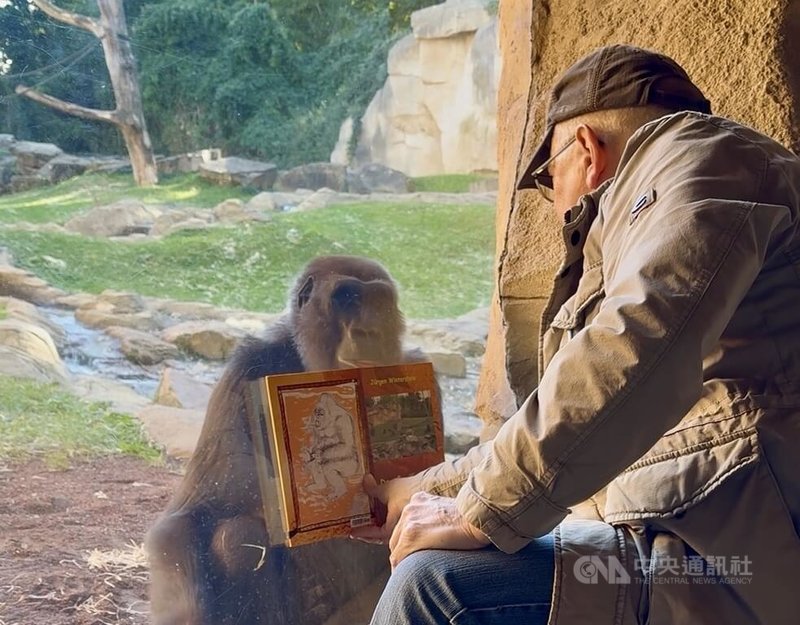 溫特斯坦和已經當祖母的29歲大猩猩Melima已有超過25年交情，溫特斯坦退休後，每週都會帶攝影集來給喜歡回顧自己家族照片的Melima看。中央社記者林尚縈漢諾威攝　114年10月6日