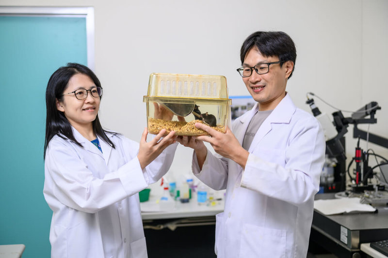 陽明交通大學副教授陳摘文（右）與林貝容（左）利用活動定位成像技術，在大腦中精準捕捉神經細胞的放電活動，突破以往神經科學的觀測瓶頸。（陽明交大提供）中央社記者許秩維傳真　114年10月7日