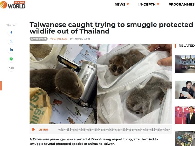 泰國公共電視台報導，一名台灣旅客7日企圖將多隻保育動物走私到台灣，在曼谷廊曼機場被捕。（圖取自泰國公共電視台網站world.thaipbs.or.th/）