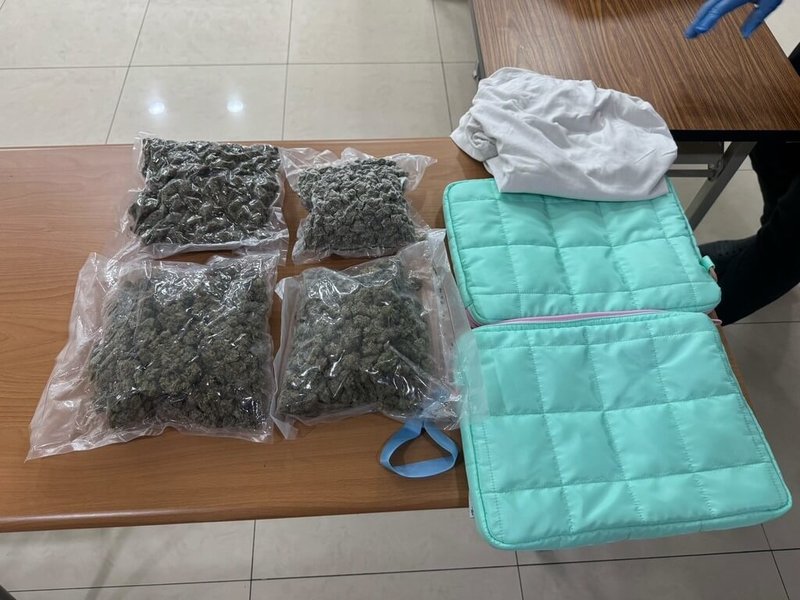 刑事局接獲通報,一件英國寄來的國際包裹內夾藏1.2公斤大麻花,警方不動聲色跟監包裹流向,日前先後逮捕收件者以及幕後主嫌等4人,其中3人遭高雄地檢署聲押獲准。(南部打擊犯罪中心提供)中央社記者洪學廣傳真 114年10月9日