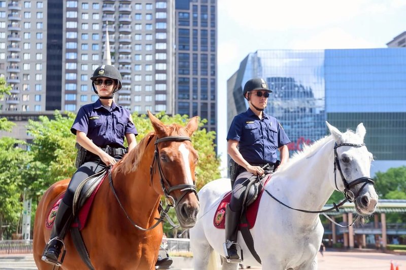 新北市警察局騎警隊睽違20年再度受邀參加國慶日表演遊行,特別精選8匹駿馬與18名騎警擔任「英雄車隊」前導任務,預期將成吸睛焦點。(新北市新聞局提供)中央社記者黃旭昇新北市傳真 114年10月9日