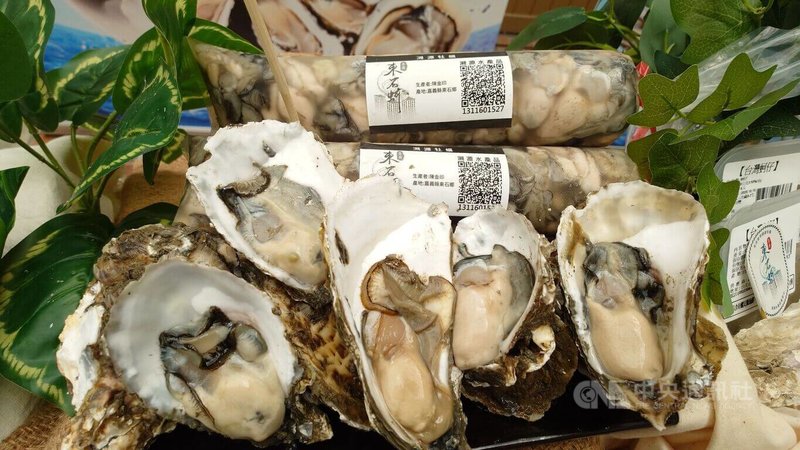嘉義縣政府9日為「澎派.嗑蚵季」宣傳造勢,邀民眾走訪嘉義品鮮蚵,現場展示東石養殖、貼有溯源QR Code的新鮮蚵仔。中央社記者蔡智明攝 114年10月9日
