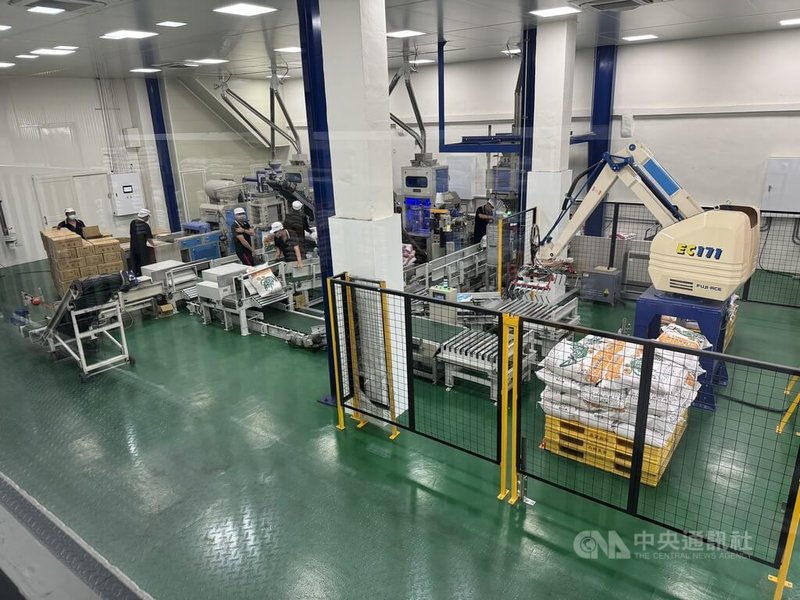 雲林縣西螺鎮農會更新埤源碾米廠房,優化生產線並引進機械手臂,減少至少3個人力。中央社記者姜宜菁攝 114年10月10日