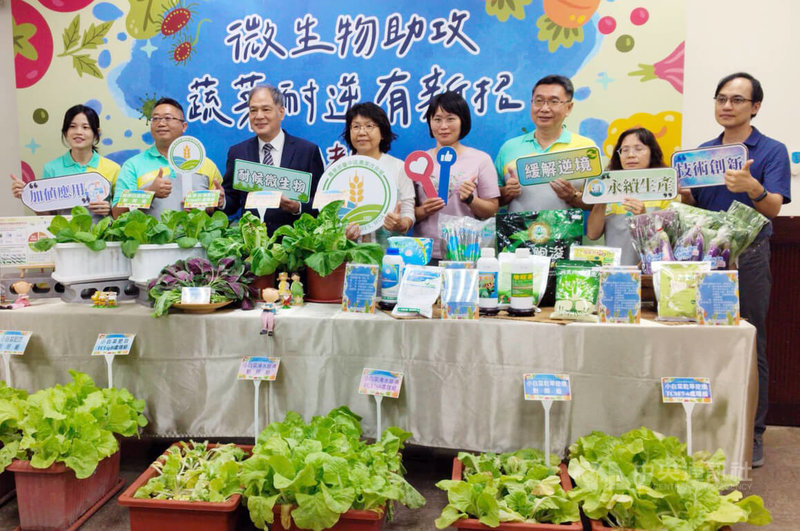 農業部台中區農業改良場14日舉行記者會,介紹篩選出的4株優良菌株,田間試驗證實有助蔬菜在淹水、乾旱及高溫等逆境下生長,存活率比以往同樣條件下增加2成到5成。中央社記者汪淑芬攝 114年10月14日