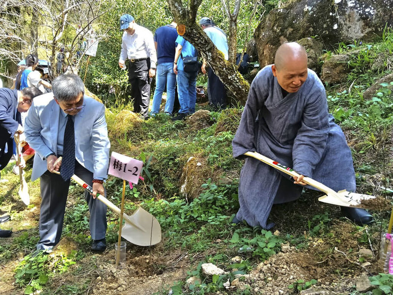 華梵大學校內一棵老梅樹育出上百樹苗,董事長悟觀法師(前排右)、校長李天任(前排左)16日號召師生,一同種下2代梅樹。(華梵大學提供)中央社記者陳至中台北傳真 114年10月16日