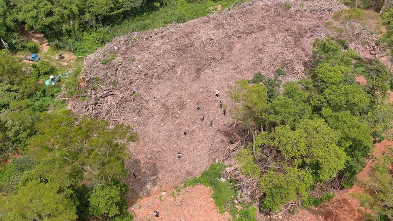 苗栗縣三義鄉山坡地保育區遭棄置大量廢樹枝、樹葉,面積約有1個足球場大小,案經台灣苗栗地方檢察署日前偵結,檢察官以違反廢棄物清理法、水土保持法等罪嫌,對12人提起公訴。(苗栗地檢署提供)中央社記者管瑞平傳真 114年10月16日