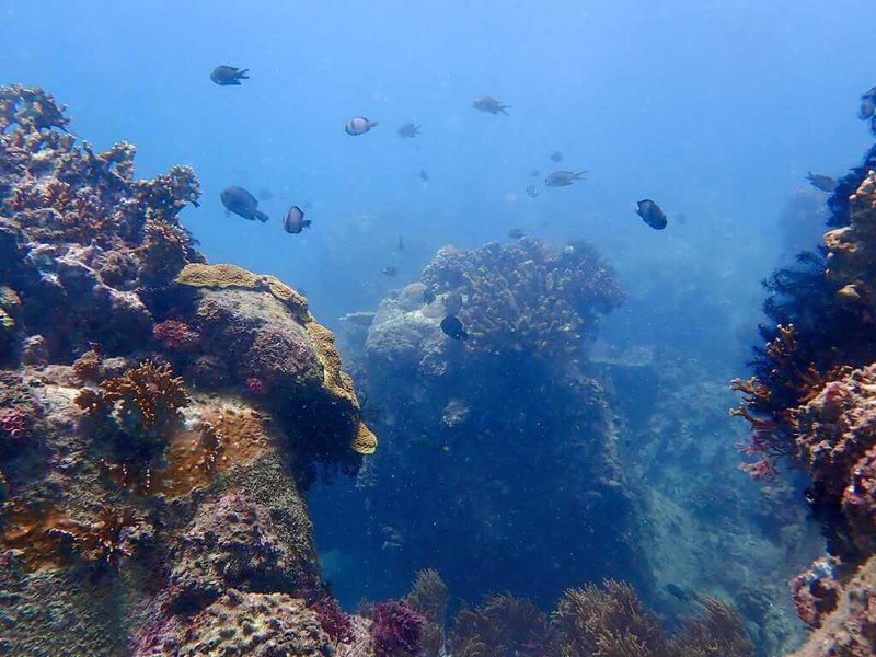 墾丁南灣海域海水混濁情形,9月陸續引發民眾關注。墾丁國家公園管理處表示,主因為7、8月豪雨,10月初漸獲改善,將持續進行岸際與水下環境監測。圖為10月1日情形。(墾丁國家公園管理處提供)中央社記者黃郁菁傳真 114年10月17日