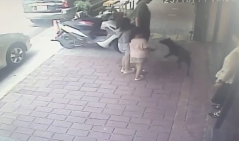 有婦人日前帶3名孩童行經苗栗縣三義木雕街，突遭一旁店家門前未繫繩的黑狗攻擊，造成2名女童受傷送醫。（民眾提供）中央社記者管瑞平傳真　114年10月20日