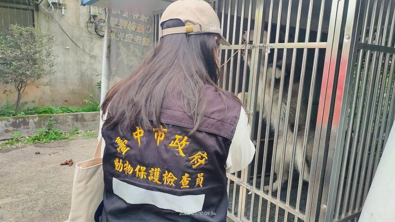 台中市石岡區國校巷傳出有人惡意放餌毒殺犬隻,台中市政府動保處獲報派員訪查周邊。圖為動保處人員定期前往訪視犬隻。(動保處提供)中央社記者趙麗妍傳真 114年10月20日