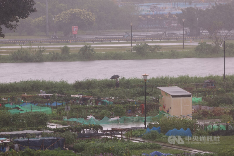 新北大都會公園樂活農園位於二重疏洪道旁,20日受到共伴效應引發的雨勢等影響積水嚴重,許多民眾耕耘的心血都泡了水。中央社記者趙世勳攝 114年10月20日