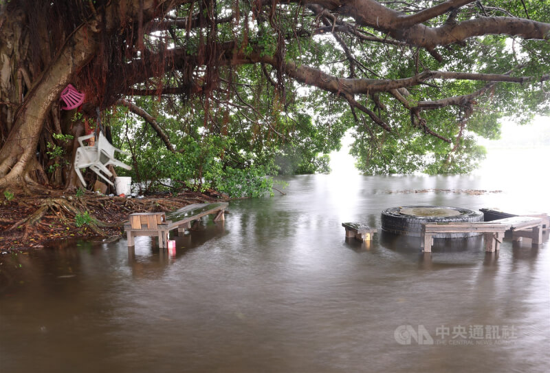 受豪大雨、抽水站抽水及大潮影響,新北市二重疏洪道20日部分區域道路嚴重積淹水,原本在大樹下供民眾乘涼休息的桌椅擺設處也成了一片汪洋。中央社記者趙世勳攝 114年10月20日