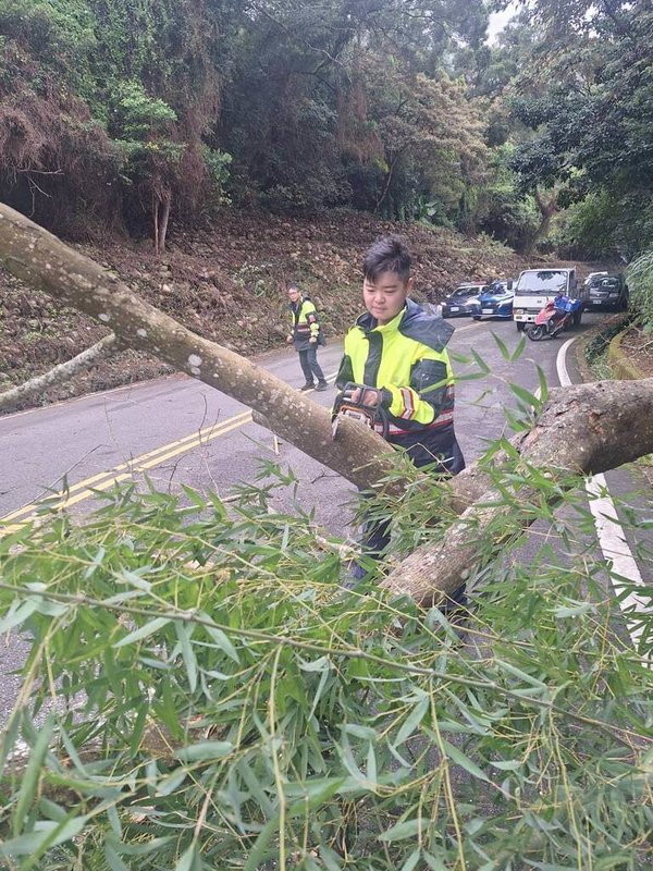 東北季風以及風神颱風外圍環流共伴效應,苗栗縣21日颳起9級以上強陣風,苗130線與苗119線道路,有多棵大樹被吹倒在馬路上,阻礙通行,苗栗縣政府交工處以及地方巡守隊趕往搶通,所幸未造成事故及人員傷亡。(民眾提供)中央社記者管瑞平傳真 114年10月21日
