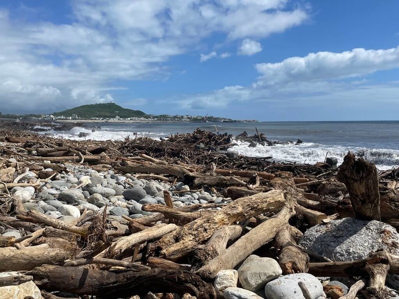 颱風樺加沙在台東山區降下豪大雨將倒木、枯樹帶到海邊和溪流,林保署台東分署公告22日起開放民眾撿拾漂流木,撿拾不限尺寸和重量,可用鏈鋸,允許小型車搬運。圖為富岡港附近漂流木。(林保署台東分署提供)中央社記者盧太城台東傳真 114年10月22日