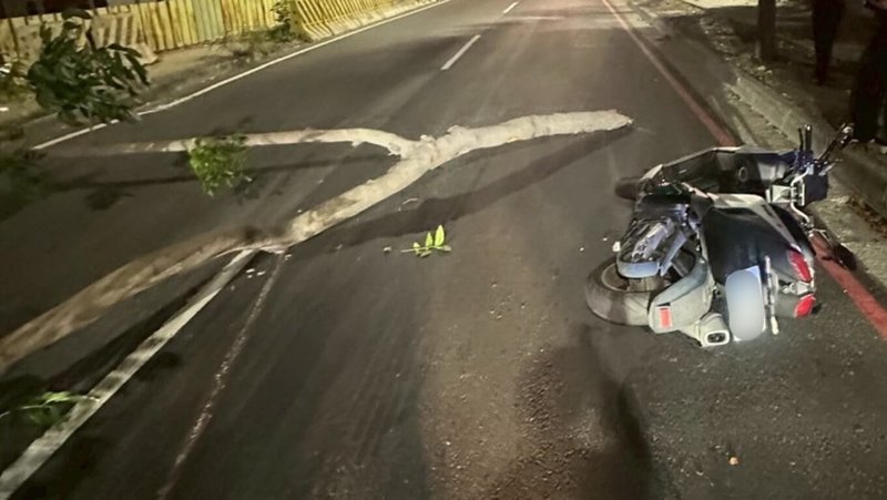 高雄徐姓男子21日騎車行經左營區翠華路時外側車道,遭路上路樹斷枝絆倒摔車,徐男手腳擦挫傷自行就醫,酒測值為0。警方到場將斷枝移置,並通報相關單位移除,詳細肇因仍待釐清。(高市左營警分局提供)中央社記者洪學廣傳真 114年10月22日