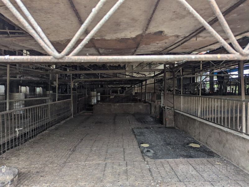 台灣出現首例疑似非洲豬瘟案例,農業部從台中一處養豬場死亡豬隻驗到非洲豬瘟陽性反應,圖為事發養豬場,豬隻都已撲殺。中央社記者蘇木春攝 114年10月22日