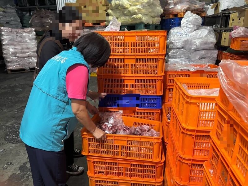 台中市某養豬場檢出非洲豬瘟陽性,該場13日有28隻豬出貨流向市面,其中1頭出貨給嘉義縣某肉品加工業者,嘉義縣衛生局稽查發現,該豬隻經分切後販售市場攤販,已全數賣出。(嘉義縣政府提供)中央社記者蔡智明傳真 114年10月23日