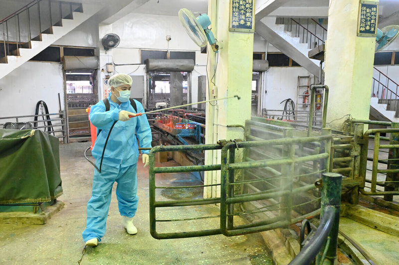 台中市有養豬場檢出非洲豬瘟病毒陽性反應,全台強化防疫作為,新北市肉品市場23日下午也加強消毒防疫。(新北市新聞局提供)中央社記者黃旭昇傳真 114年10月23日