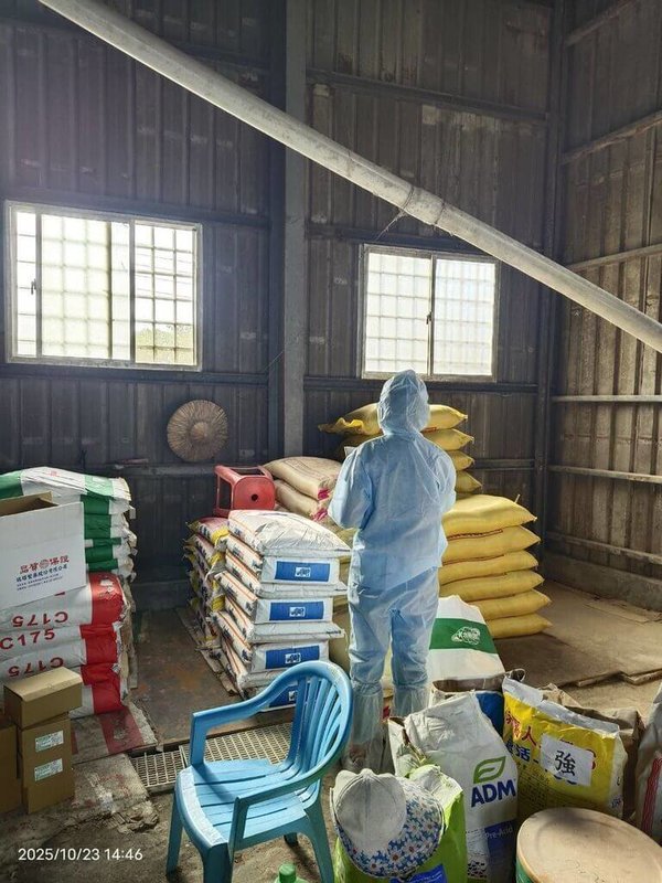 為嚴防非洲豬瘟疫情入侵,高雄市政府農業局全面提升生物安全管理層級,全市4家以廚餘餵飼養豬場,未來將輔導改以飼料餵飼。(高雄市農業局提供)中央社記者林巧璉傳真 114年10月24日