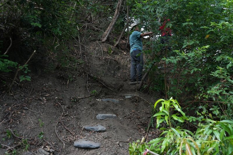 屏東縣來義鄉傳統狩獵文化協會25日舉辦「排灣族傳統堆砌工法智慧」課程,並進行實作練習,學員們在講師帶領下,於南和村橋頭pavalius石板屋旁邊坡以38顆石頭砌出簡易便道。中央社記者黃郁菁攝 114年10月25日