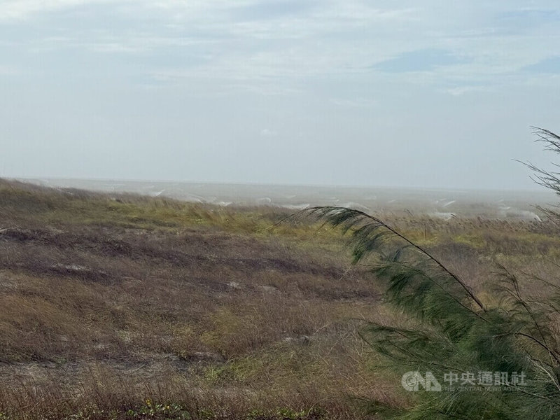 經濟部水利署第四河川分署表示,今年颱風接連報到,導致濁水溪河床沖出約400公頃裸露地,近日無降雨造成土壤乾燥,強風吹襲引起揚塵。中央社記者姜宜菁攝 114年10月27日